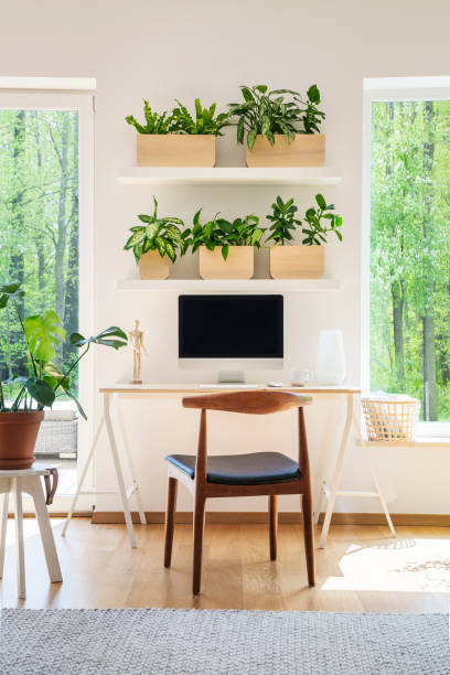 istock Wooden chair at desk with computer desktop in bright workspace interior with windows. Real photo 1007226158