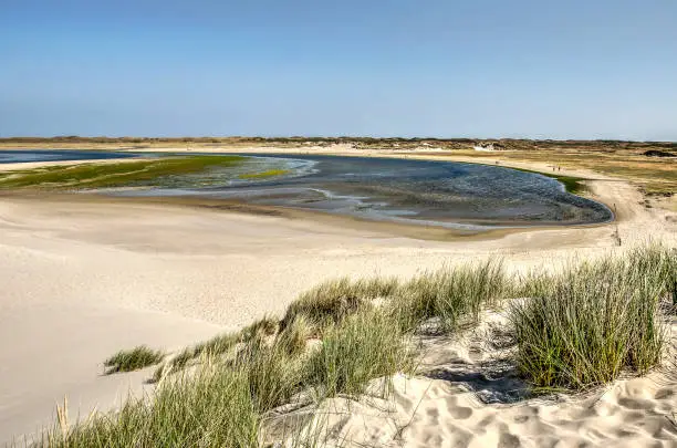 View from a sandy dune with marram grass towards the Slufter nature reserve on the Dutch island of Texel
