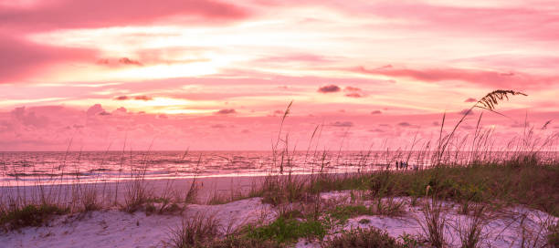 istock Beach Scene: Dramatic Pink Sunset Sky with Sand Dune and Sea Oats in the Foreground 1007239914