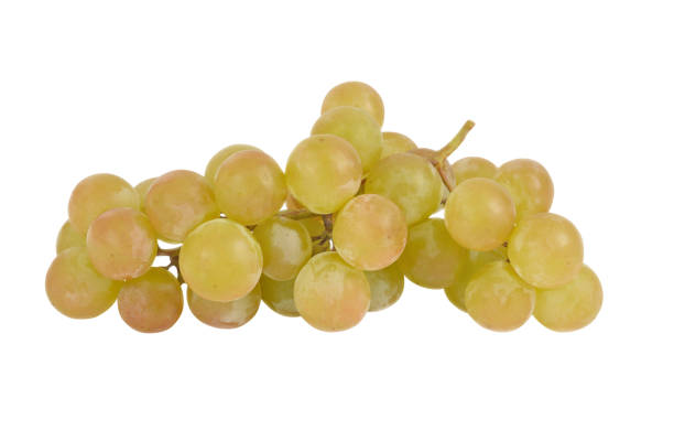 istock Cluster of green grapes on a white 1007246912