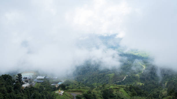 istock Foggy road in the forest ,Beautiful nature trail 1007247628