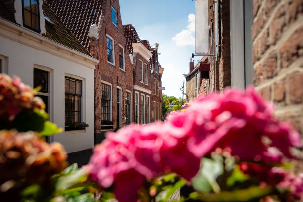 istock Dutch narrow street with old facades 1007250252