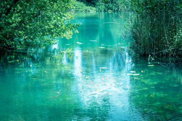 istock Krka National Park in Sibenik,Croatia 1007250972