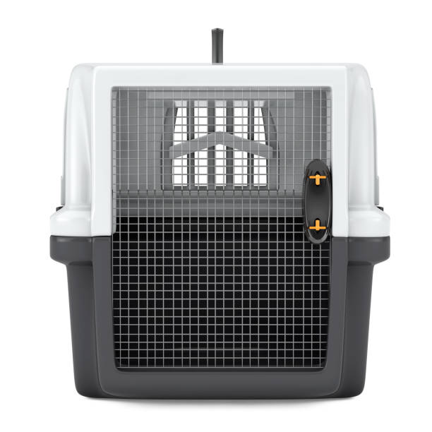 istock Pet Travel Plastic Cage Carrier Box. 3d Rendering 1007251200