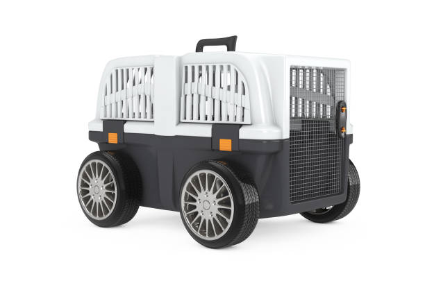 istock Pet Travel Plastic Cage Carrier Box on Car Wheels. 3d Rendering 1007251210