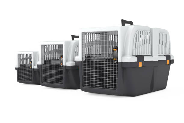 istock Row fo Pet Travel Plastic Cage Carrier Boxes. 3d Rendering 1007251414