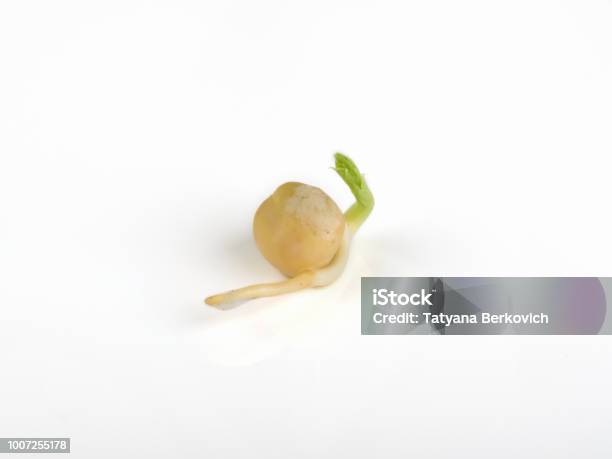 Closeup The Green Pea Sprout On White Backgroundselective Focus Stock Photo - Download Image Now