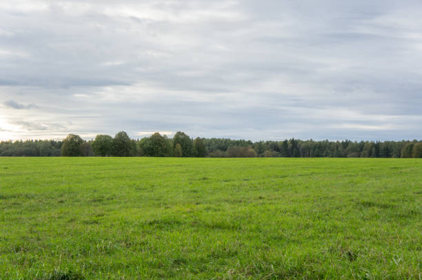 istock Green field in September 1007259244