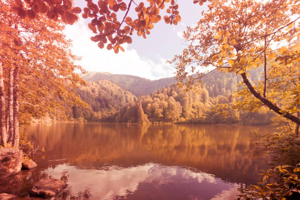 istock Soft autumn landscape view of Karagol (Black lake) 1007261602
