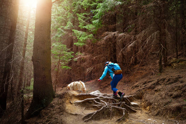 istock enjoy exploring the woodland 1007261678