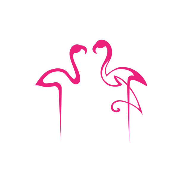 illustrations, cliparts, dessins animés et icônes de flamants roses - flamingo bird isolated animal leg