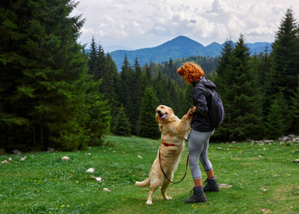 istock enjoy time with my friend 1007261810
