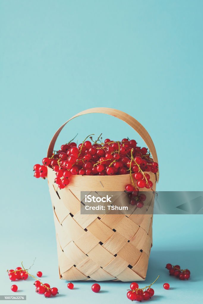 Main de femme tenant un panier en bois avec des groseilles rouges sur fond bleu. Récolte d’été. Concept de restauration saine. Tonifié - Photo de Aliment libre de droits