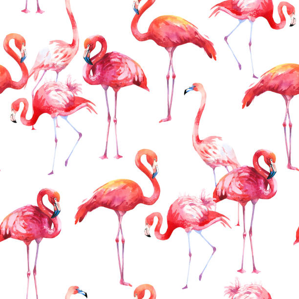 istock Watercolor seamless pattern on white background. Illustration with pink flamingo. Tropical bird. Paradise 1007274312