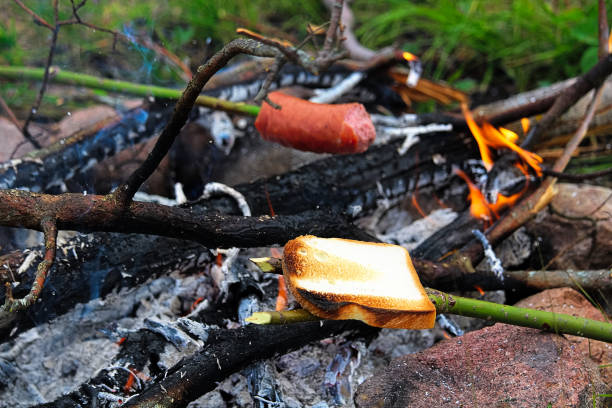 istock Toasting bread and sausage over a campfire 1007278056