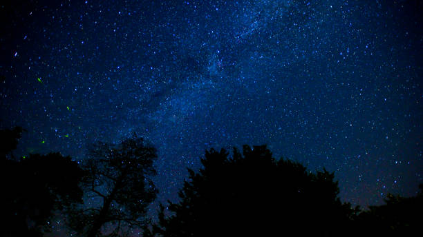 istock Milky way and stars above treetops 1007281722