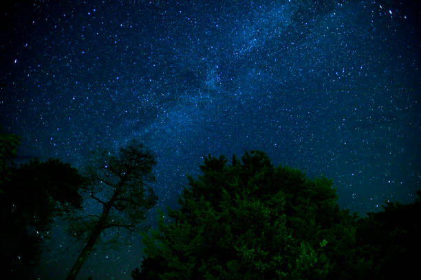 istock Milky way and stars above treetops 1007282474