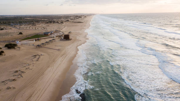 istock aerial view of dramatic empty sandy beach with wavy sea, Ashdod, Israel 1007285056