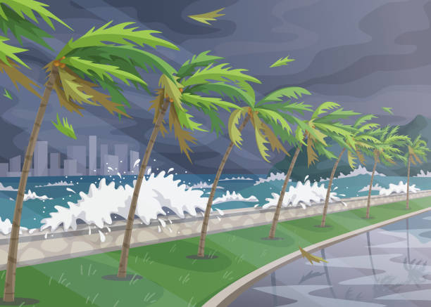 Sea Coast Landscape during  Storm in Ocean Seaside landscape during storm in ocean, huge waves and palm trees on high wind along coast. Natural disaster hurricane incoming on sea vector flat illustration. hurricane storm stock illustrations