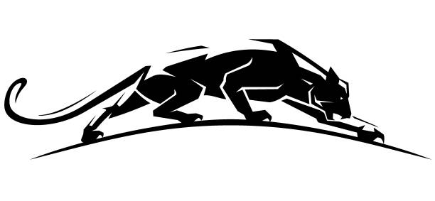 Jaguar Crawl Side vector art illustration