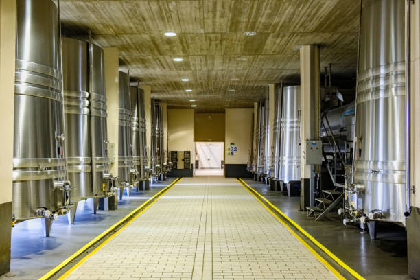 istock wineries of La Rioja in Spain 1007300848