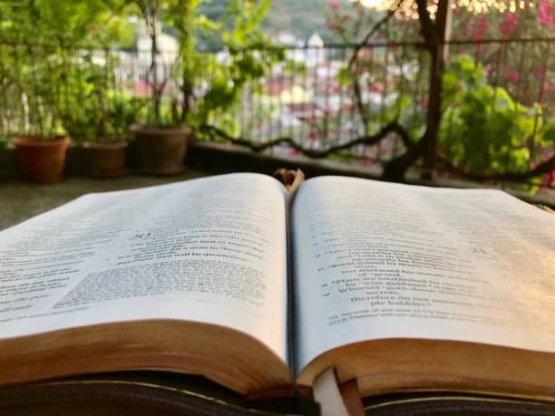 istock Bible in garden 1 1007301624