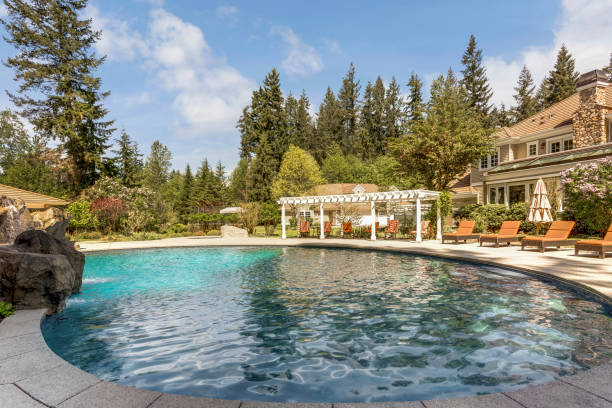 istock Beautifully landscaped backyard with a large pool. 1007310398
