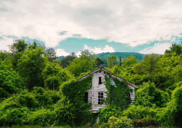 istock old wooden abandoned chalet 1007310854