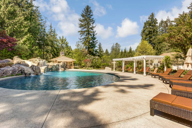 istock Beautifully landscaped backyard with a large pool. 1007311518