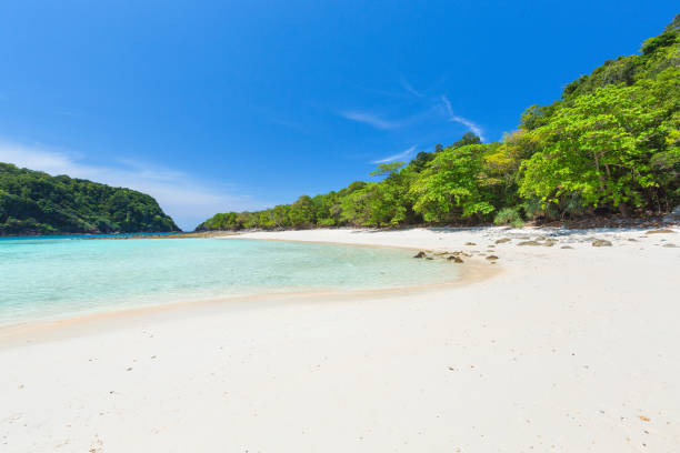 istock Koh Rok island, Krabi, Thailand. 1007313826