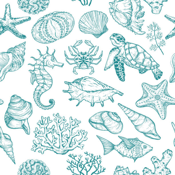 ilustraciones, imágenes clip art, dibujos animados e iconos de stock de patrón transparente con dibujo de conchas de organismos de vida sello océano, peces, corales y tortugas. - starfish underwater sea fish