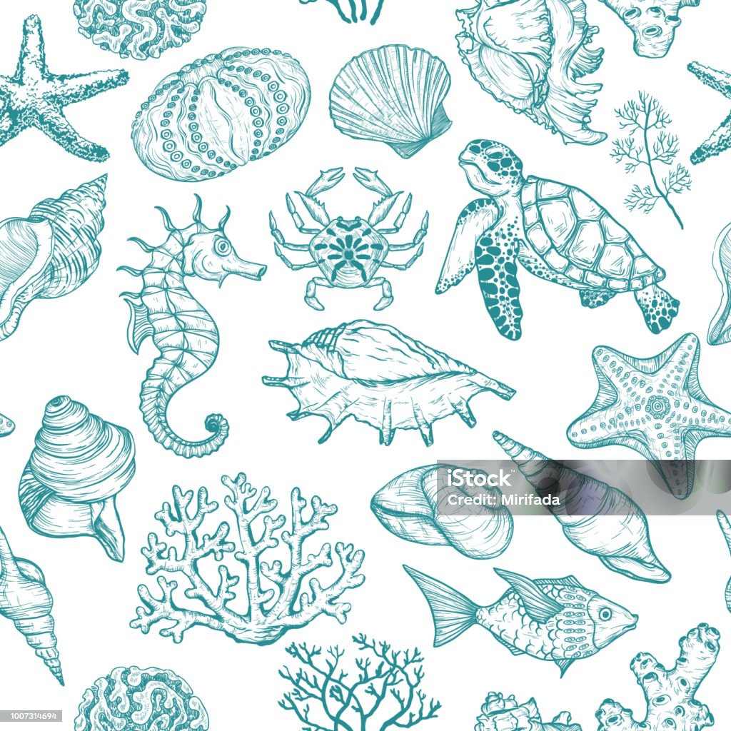 Seamless pattern with sketch of Seal Ocean life organisms shells, fish, corals and turtle. Seamless pattern with sketch of Seal Ocean life organisms shells, fish, corals and turtle. Hand Drawn illustration. Sea stock vector