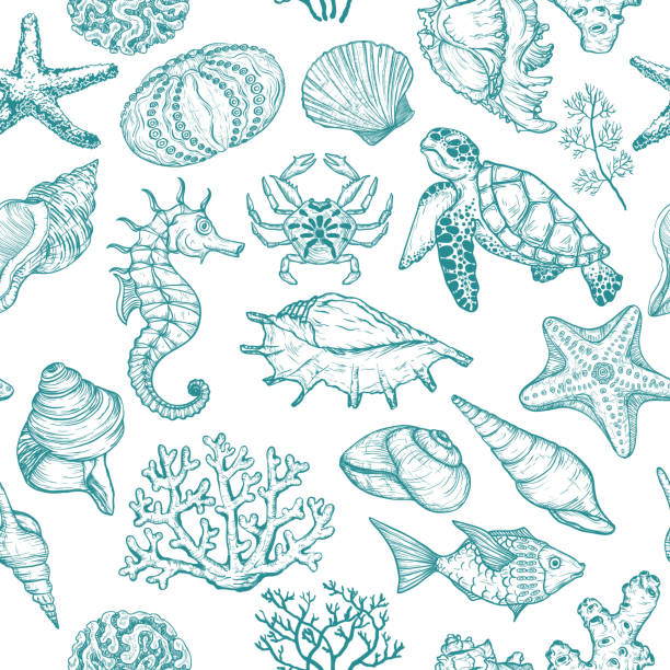 Seamless pattern with sketch of Seal Ocean life organisms shells, fish, corals and turtle. Seamless pattern with sketch of Seal Ocean life organisms shells, fish, corals and turtle. Hand Drawn illustration. drawing of a how to draw turtle stock illustrations
