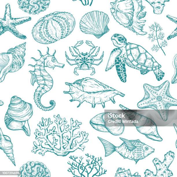 Seamless Pattern With Sketch Of Seal Ocean Life Organisms Shells Fish Corals And Turtle Stock Illustration - Download Image Now