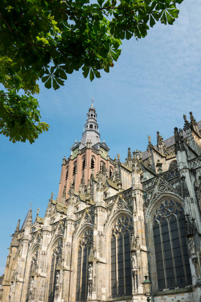 istock St. Jan Evangelist cathedral in Den Bosch, 's Hertogenbosch, The Netherlands 1007315126