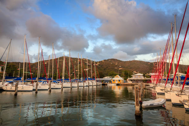 istock Marina in Tortola 1007317412