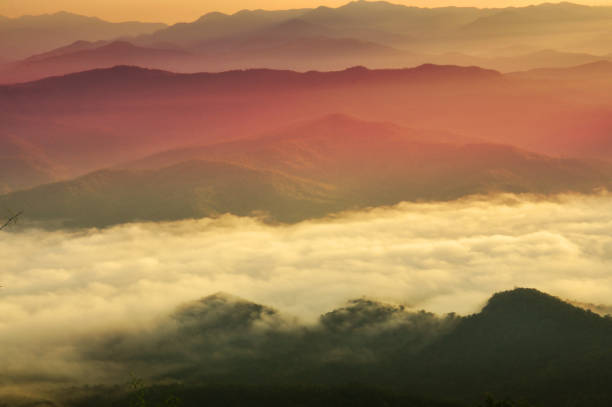 istock Landscape with mist in the mountains , landscape with fog 1007318764