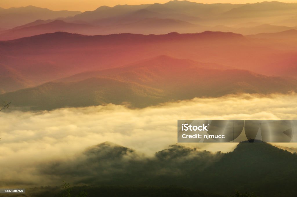 Phong Cảnh Với Sương Mù Trên Núi Phong Cảnh Với Sương Mù Hình ảnh Sẵn có -  Tải xuống Hình ảnh Ngay bây giờ - iStock