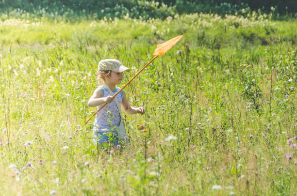 istock child with a net catches a butterfly 1007326442