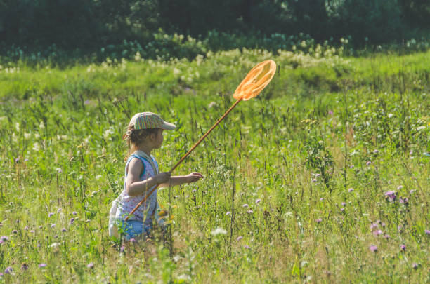 istock child with a net catches a butterfly 1007326450