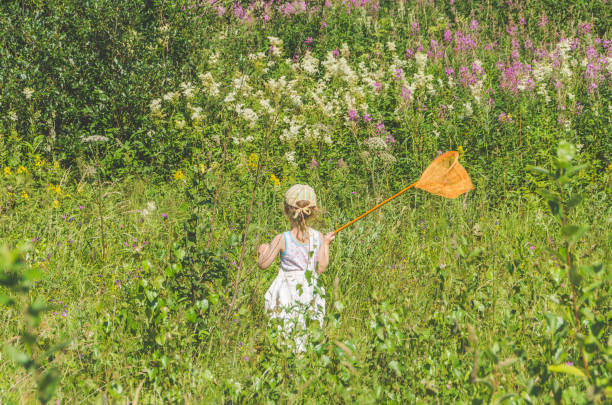 istock child with a net catches a butterfly 1007326622