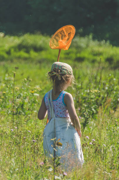 istock child with a net catches a butterfly 1007326628