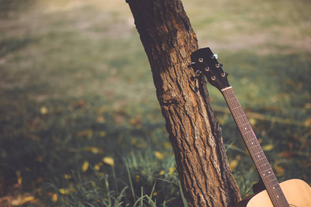 istock My classic guitar with a lonely day. 1007329316
