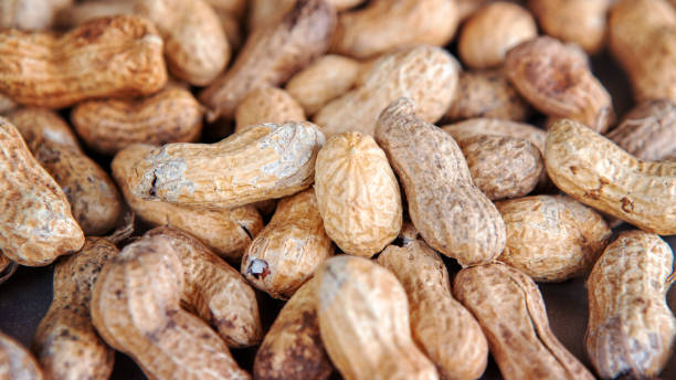 istock closeup of a group of peanuts 1007330206