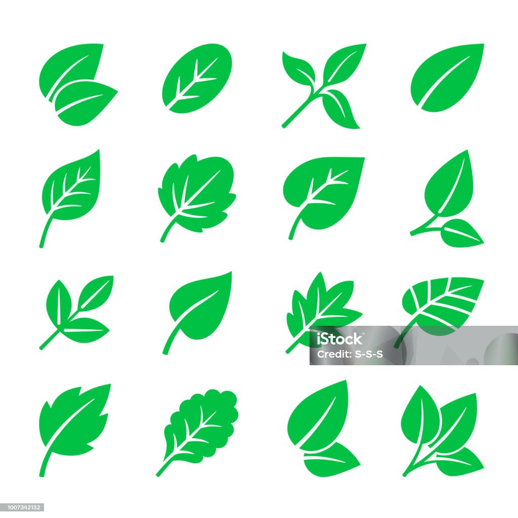 Biểu Tượng Lá Màu Xanh Lá Cây Biểu Tượng Lá Vector Minh Họa Lá Cây ...