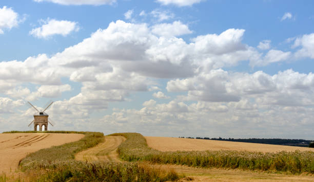 istock landscape view of windmill and arid crops during drought 1007360838