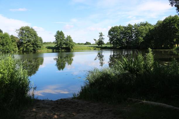 istock beautiful small sea in the park 1007363188