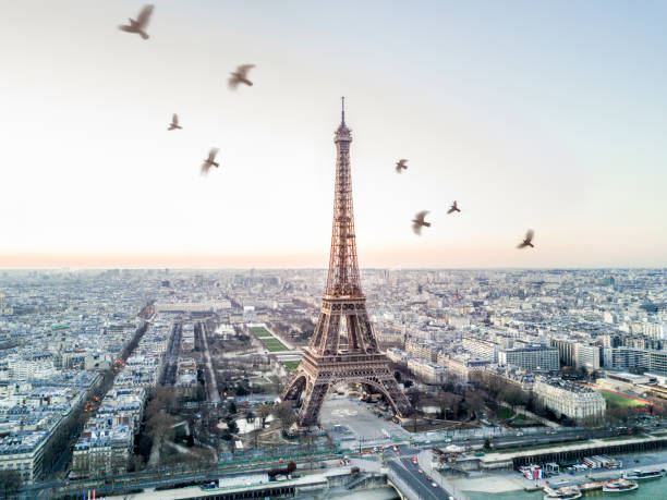 Aerial view of the Eiffel tower