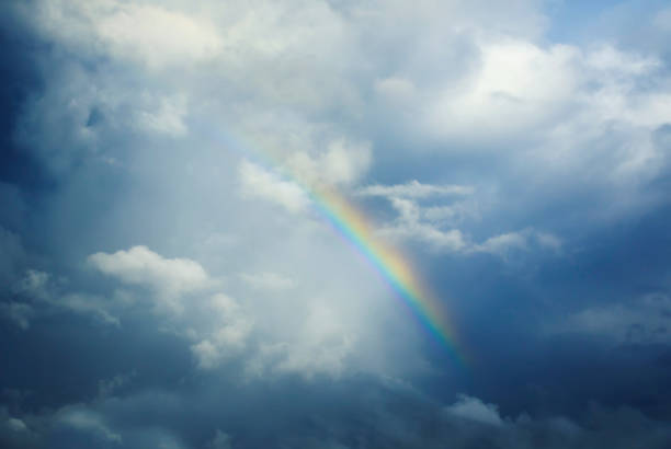 beautiful natural background with a bright multicolored rainbow among white fluffy clouds against a blue sky after a rain in summer