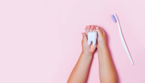 istock Child's hands holding big tooth and toothbrush 1007374990